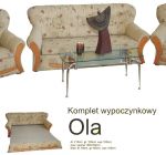 OLA.jpg