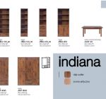INDIANA4.jpg